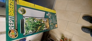 Zoomed Gazeterrarium Reptibreeze