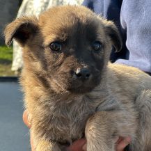 Unser kleiner Teddybär Mariesol