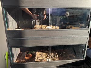 Terapod Vivarium 36" Terrarium schwarz  Bild 5