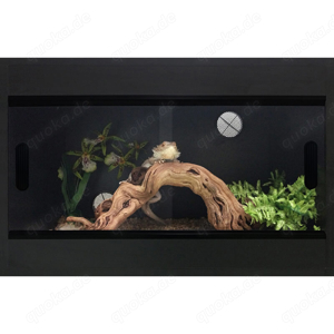 Terapod Vivarium 36" Terrarium schwarz  Bild 3
