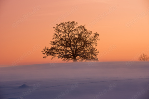 Zeit am Ponystall Bild 7