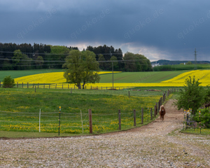 Zeit am Ponystall Bild 5