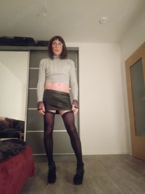 Sissy Stute sucht Hengste 