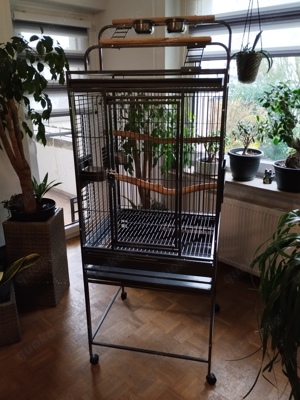  Papageienkäfig mit Freisitz innen sehr geräumig