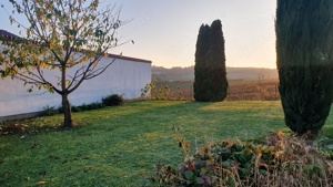 Grundstücksanteil z individuellen Tiny-House Errichtung großzügig Rhein-Main-Gebiet Bild 6