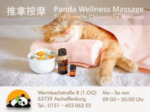 Chinesische Tuina Massage in Aschaffenburg