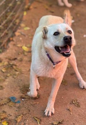 Olympus sucht ein Körbchen Bild 2