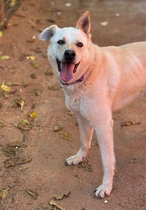 Olympus sucht ein Körbchen Bild 4