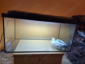 Angefertigtes      Aquarium  80x40x40      100    Bild 2