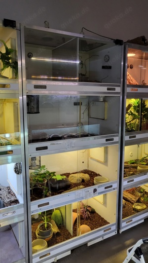 Terrarientower 
