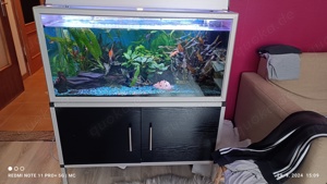 Aquarium 200l mit Unterschrank