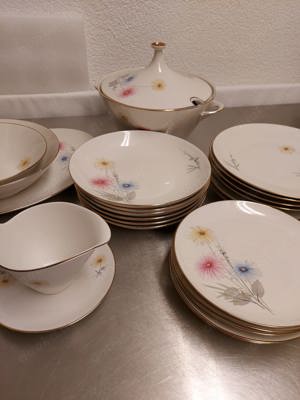 Alka Kunst Bavaria Porzellanservice Rhapsodie