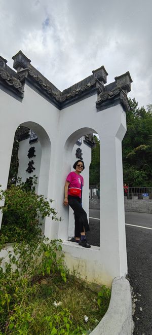 Partnerschaft gesucht  Bild 3