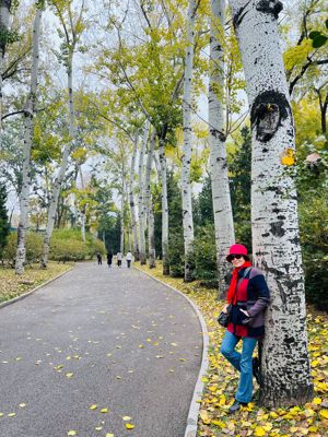 Partnerschaft gesucht  Bild 8