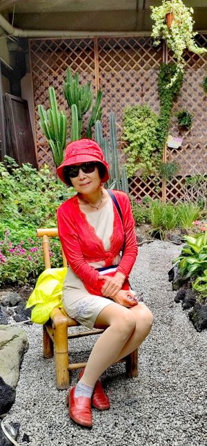 Partnerschaft gesucht  Bild 7