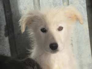 Ladina, unsere kleine Schneeflocke