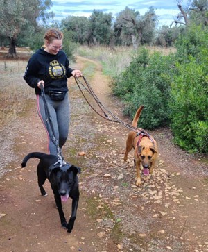 Mischlingshündin Susy sucht Zuhause Bild 4