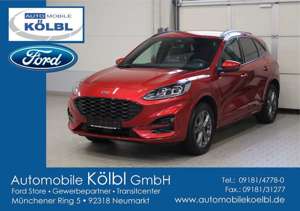 Ford Kuga Plug-in-Hybrid ST-Line X, NAVI/iACC/HEAD-UP