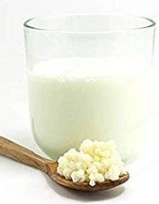 Milchkefirknollen, Kefir