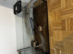 Selbstgebautes Terrarium Aquarium zu verkaufen