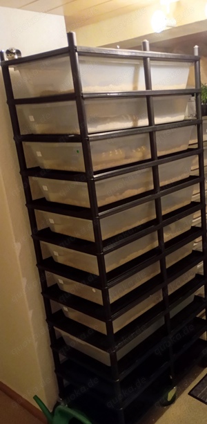 Rack Abzugeben 
