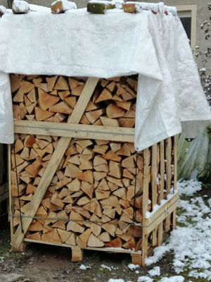Brennholz Buche zu verkaufen