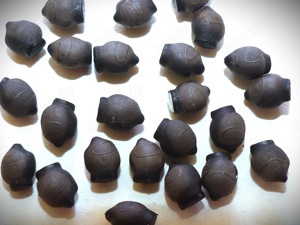 Phasmiden - Eier toller Arten! Bild 8