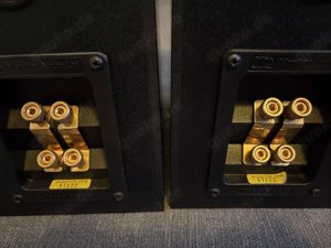 Monitor Audio One Gold TOP Zustand Bild 6