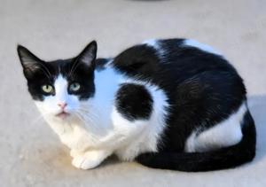 STACY - neugierig, skeptisch und zurückhaltend Bild 4