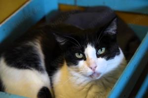 STACY - neugierig, skeptisch und zurückhaltend