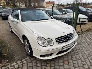 Mercedes-Benz CLK 500 AMG 1-Hand Bose Leder Scheckheft Bild 5