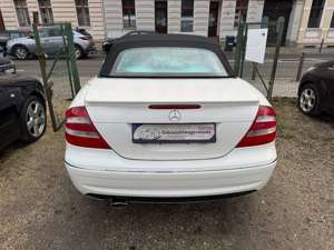 Mercedes-Benz CLK 500 AMG 1-Hand Bose Leder Scheckheft Bild 3