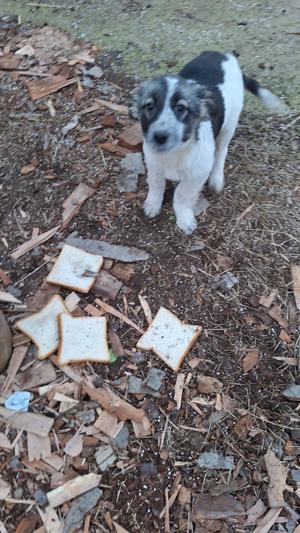 Vaiana wurde einfach ausgesetzt Bild 2