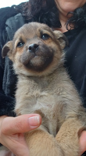 Kleine Tilly sucht Zuhause Bild 2