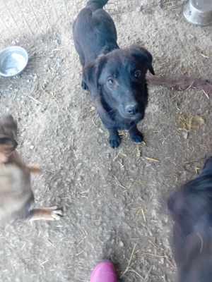 Jetzt sucht Aiana das große Glück Bild 3