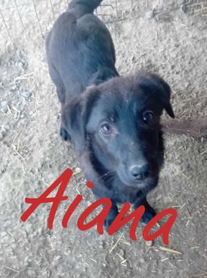 Jetzt sucht Aiana das große Glück Bild 5