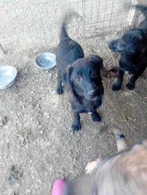 Jetzt sucht Aiana das große Glück Bild 4