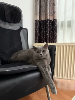 Deckkater BKH