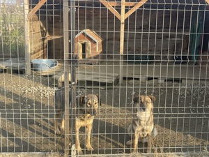 Alia - Lebensfreude pur Bild 6