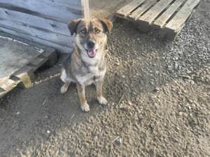 Alia - Lebensfreude pur