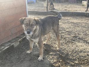 Alia - Lebensfreude pur Bild 7