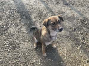 Alia - Lebensfreude pur Bild 8