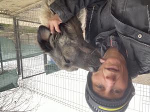 Heidi   sanfte Schönheit mit großem Herz sucht liebevolles Zuhause