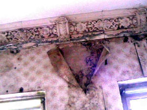 Bedenklicher Schimmel im Haus, Bau - Gutachter warnt vor