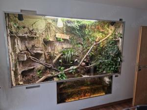 Paludarium Terrarium zu verkaufen