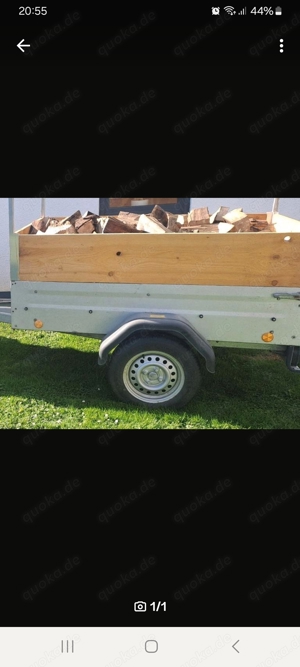 Buchenbrennholz gesägt auf 25cm 