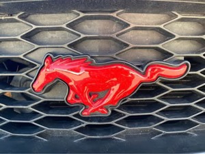 Winterräder Mustang GT (Gen. V) - 235 55 R17 auf Originalfelgen