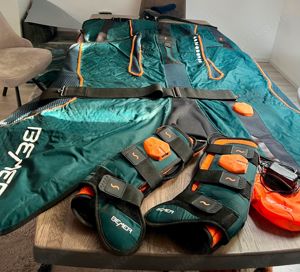 Bemer Horse Set