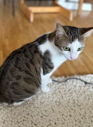 Gigi, aufgeweckte Entdeckerin, ca. 2 Jahre