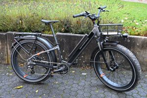 Rad Power RadRhino 6 Plus [2022] - Elektrisches Lastenrad Fatbike NEU erst 37km